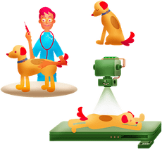 Tierärztin (m/w/d) gesucht