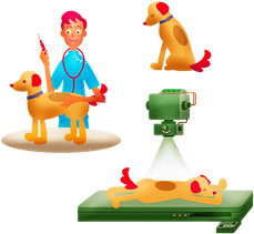 Tierärztin (m/w/d) gesucht