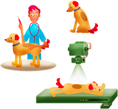 Tierärztin (m/w/d) gesucht